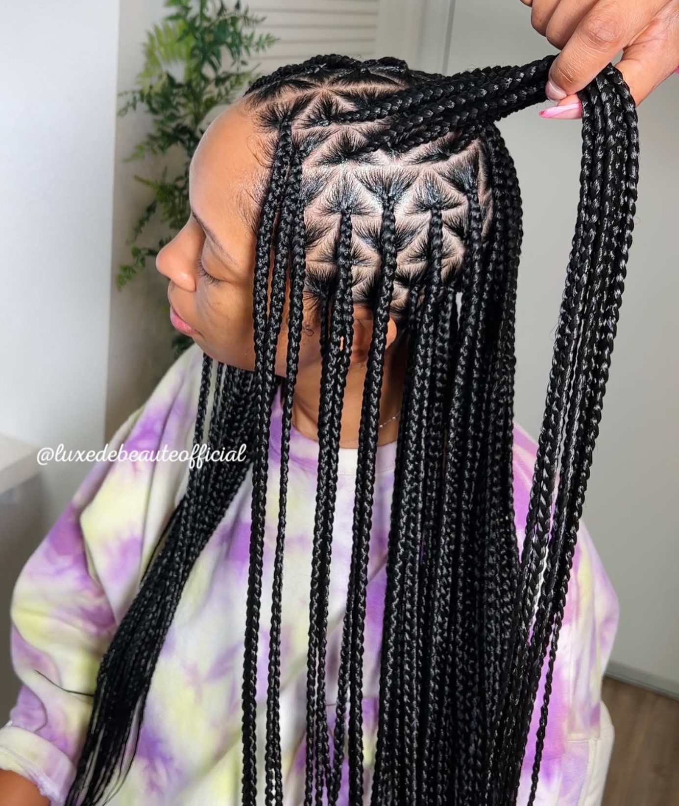 Box Braids with Triangle Shaped Partings